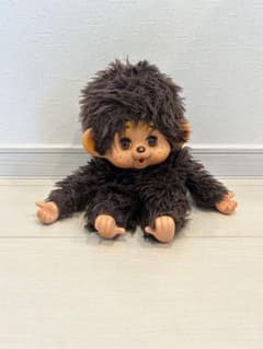 m88869514509_1.jpg?1748488331