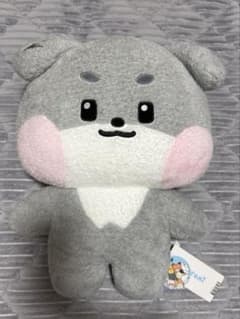 ゴニニ フラット ぬいぐるみ パクゴヌク gunini - メルカリ