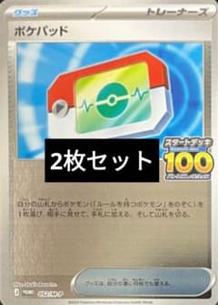 ポケパッド プロモカード1枚 100人大集合でたとこバトル！ 2枚セット