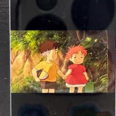 m81310916851_1.jpg?1722919647