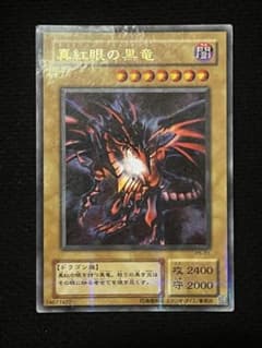 遊戯王 真紅眼の黒竜 レッドアイズブラックドラゴンP5-01 パラレル