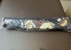 ポケモンWCS2025 アナハイム ウインディ プレイマット - メルカリ