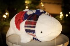 2025年マフラー付きオオサンショウウオぬいぐるみ 雪ver. 京都水族館