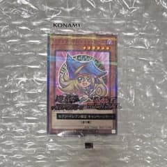 m83511000103_1.jpg?1754520974