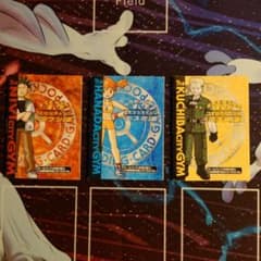 ポケモンカード 旧裏 デッキ 説明書 タケシ カスミ マチス まとめ売り