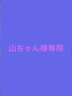 小6 合否判定学力テスト 4科 2025年度 4回分 得点分布表各設問正答率