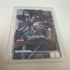 未開封 フリーダムガンダム ニュータイプチャレンジ優勝 プロモ - メルカリ
