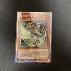 ドラゴンテイルプリクル - メルカリ