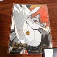 m97074945991_1.jpg?1761364962