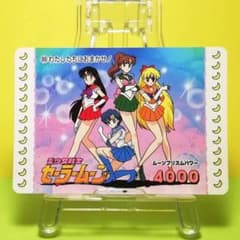 m97488472243_1.jpg?1724510489