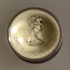 m98443806708_1.jpg?1749375022