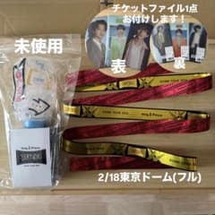 新品】キンプリ King & Prince ペンライト 銀テ チケットファイル