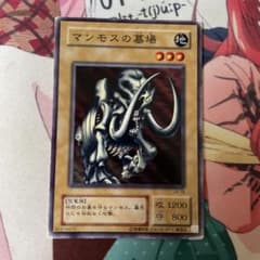 マンモスの墓場 2期 - メルカリ