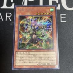 耀聖の風詩レギナ シークレットレア エルフェンノーツ - メルカリ