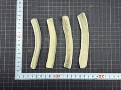 2026-057 鹿の角4本☆鹿の角☆蝦夷鹿☆日本鹿☆鹿角☆シカの角