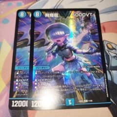 飛翔龍5000vt 2枚 アセビ - メルカリ