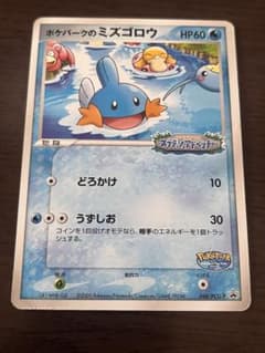 ポケパーク ミズゴロウ ポケモンカード - メルカリ