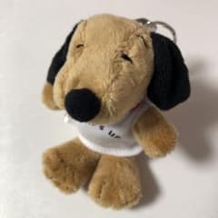 m92899050480_1.jpg?1733069449