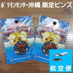 2個 ポケモンセンターオキナワ限定ロゴピンズ 沖縄限定 日本限定品