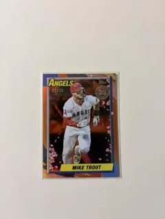 2026年最新】トラウト シリアルの人気アイテム - メルカリ