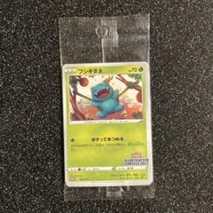 2026年最新】フシギダネ プロモ 未開封の人気アイテム - メルカリ