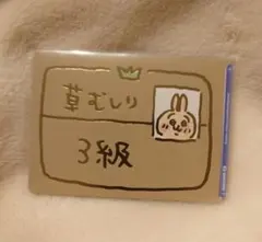 2026年最新】草むしり検定 3級 brの人気アイテム - メルカリ