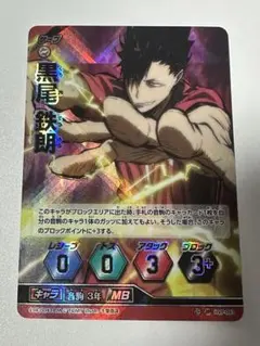 2026年最新】黒尾鉄朗 秘の人気アイテム - メルカリ