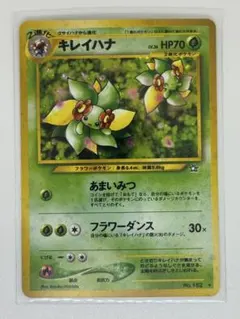 2026年最新】キレイハナ 旧の人気アイテム - メルカリ