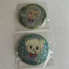 2026年最新】岩田剛典 缶バッチの人気アイテム - メルカリ