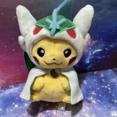 2026年最新】エルレイド ポンチョの人気アイテム - メルカリ