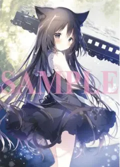 2026年最新】星空鉄道とシロの旅の人気アイテム - メルカリ