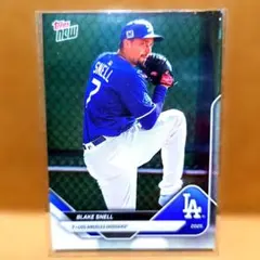 2026年最新】ブレイクスネルの人気アイテム - メルカリ