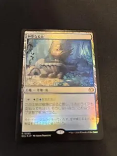 2026年最新】神聖なる泉 Foilの人気アイテム - メルカリ