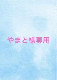 2026年最新】テラスタルフェスex BOXの人気アイテム - メルカリ