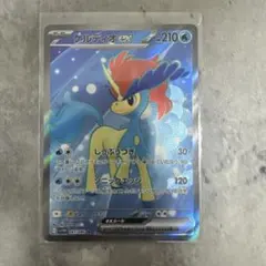 2026年最新】ケルディオex srの人気アイテム - メルカリ