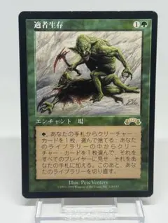 2026年最新】デュアルランドの人気アイテム - メルカリ