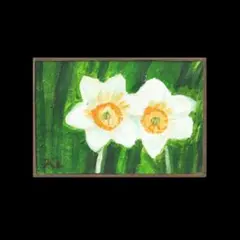 2026年最新】水仙 絵の人気アイテム - メルカリ