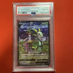 2026年最新】ジャローダ psa10の人気アイテム - メルカリ