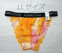 2026年最新】エメフィール ショーツ llの人気アイテム - メルカリ