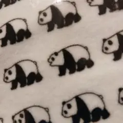 2026年最新】アドベンチャーワールド タオルの人気アイテム - メルカリ