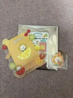 2026年最新】JOCHUM bira トレカホルダーの人気アイテム - メルカリ