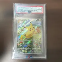 2026年最新】ピカチュウ プロモ 夏 psa10の人気アイテム - メルカリ