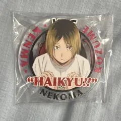 2026年最新】ハイキュー アクリルバッジ 2016の人気アイテム - メルカリ