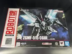 ROBOT魂　ZGMF-515 シグー 【新品未開封】 Amazon.co.jp: ROBOT魂 ZGMF-515 シグー ver. A.N.I.M.E. 機動戦士