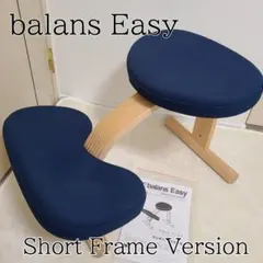 2026年最新】バランスチェアイージーショートフレームの人気アイテム