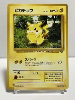 2026年最新】ジャングルピカチュウの人気アイテム - メルカリ