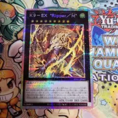 2026年最新】Rip 遊戯王の人気アイテム - メルカリ