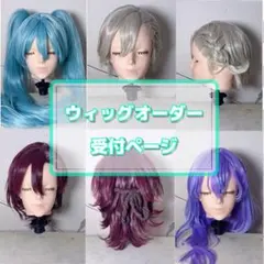 2026年最新】ウィッグ オーダーの人気アイテム - メルカリ