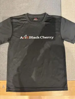 2026年最新】Acid Black cherry ロゴの人気アイテム - メルカリ