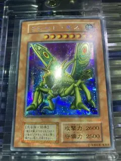 2026年最新】グレートモス シークレットの人気アイテム - メルカリ